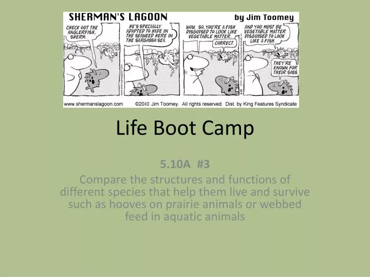 life boot camp