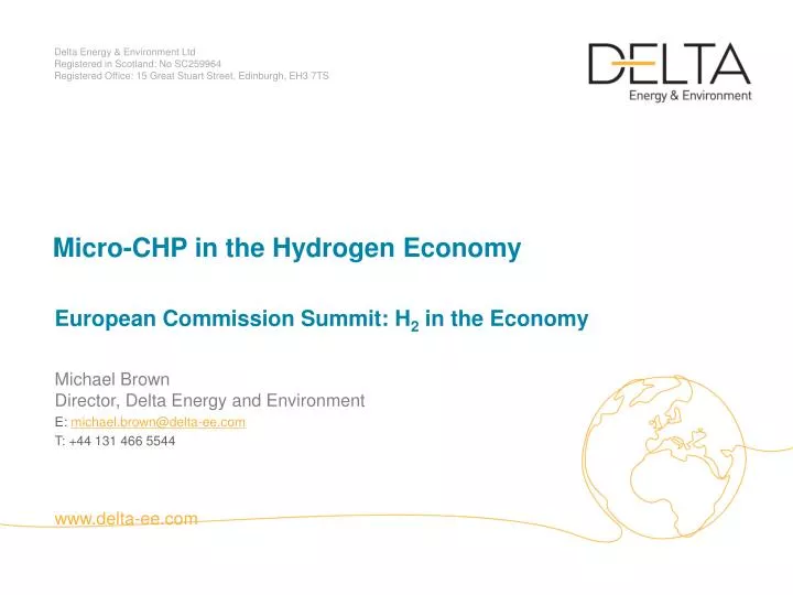 micro chp in the hydrogen economy