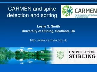 CARMEN and spike detection and sorting
