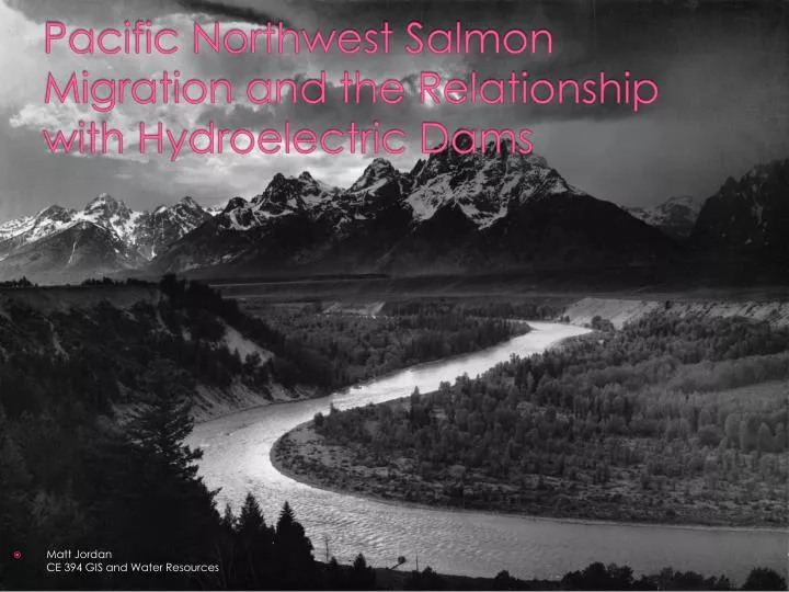 pacific northwest salmon migration and the relationship with hydroelectric dams