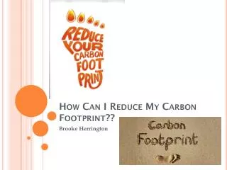How Can I Reduce My Carbon Footprint??