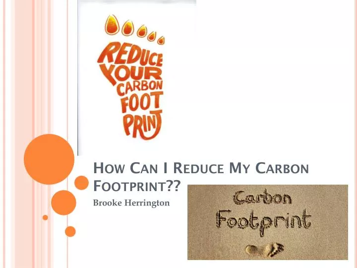 how can i reduce my carbon footprint