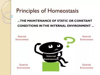 Principles of Homeostasis