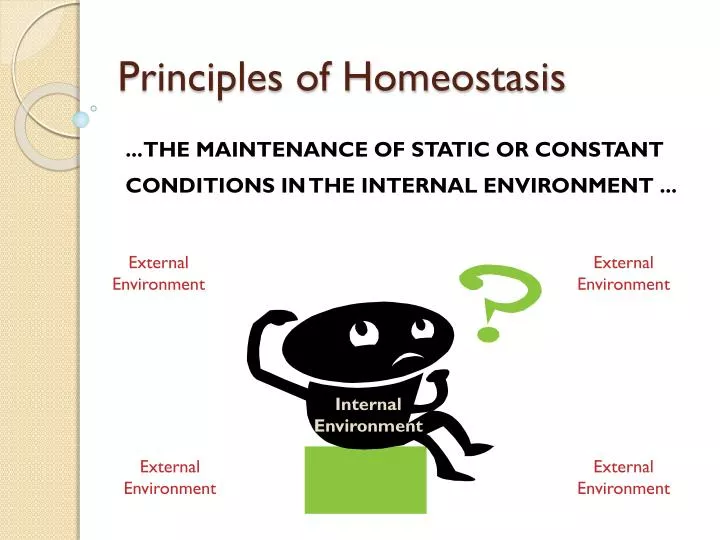 principles of homeostasis
