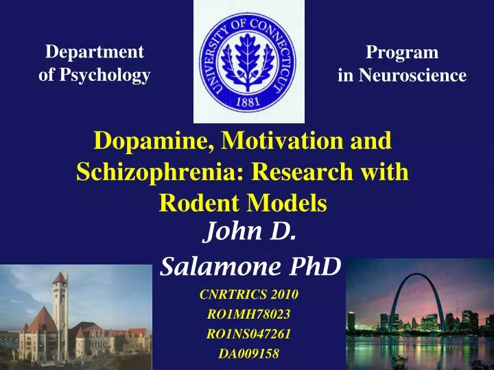 dopamine motivation and schizophrenia research with rodent models