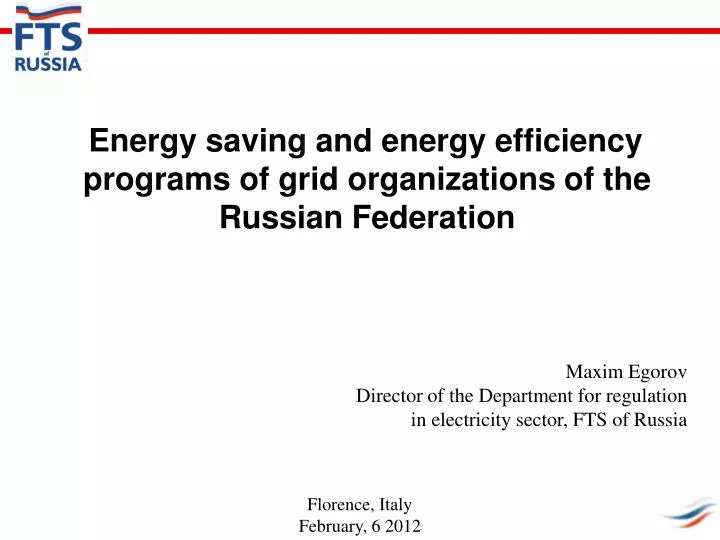 energy saving and energy efficiency programs of grid organizations of the russian federation