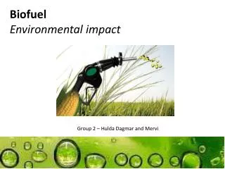 Biofuel Environmental impact