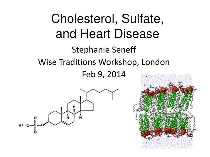 cholesterol sulfate and heart disease