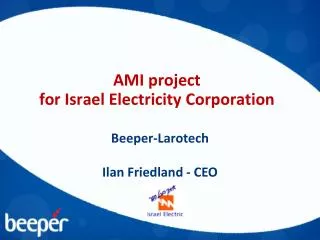 AMI project for Israel Electricity Corporation