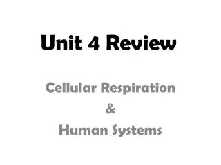 Unit 4 Review