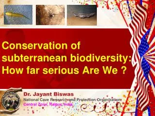 Conservation of subterranean biodiversity: How far serious Are We ?