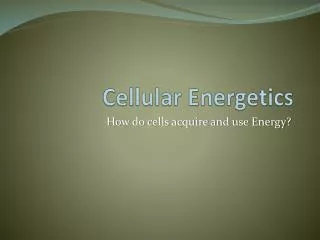Cellular Energetics