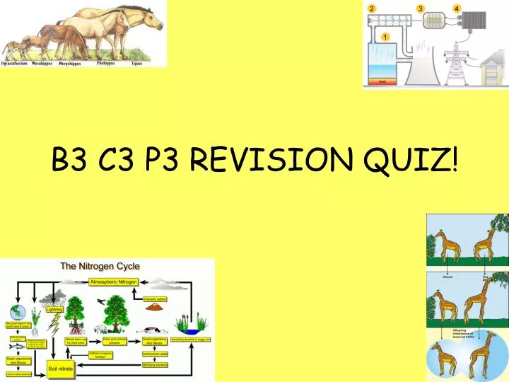 b3 c3 p3 revision quiz
