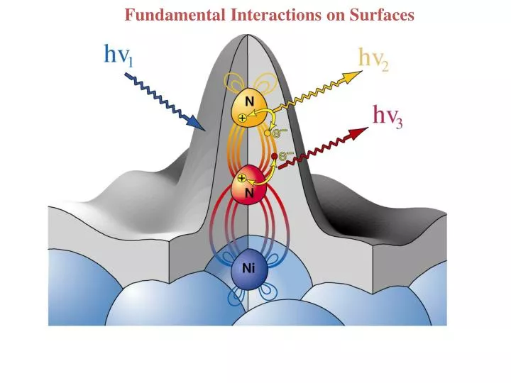 fundamental interactions on surfaces