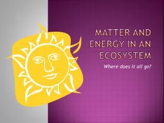Matter and Energy in an ecosystem