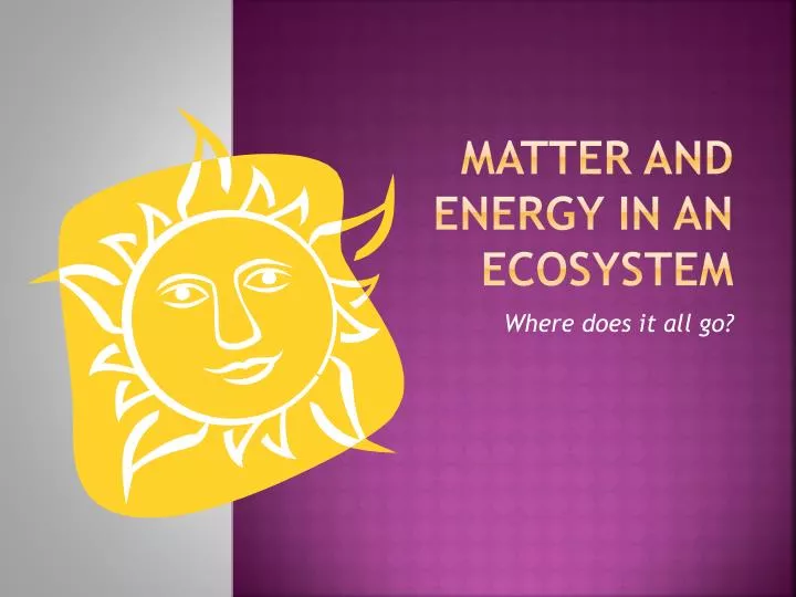 matter and energy in an ecosystem