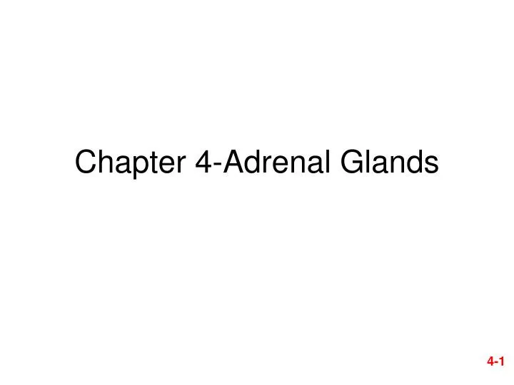 chapter 4 adrenal glands