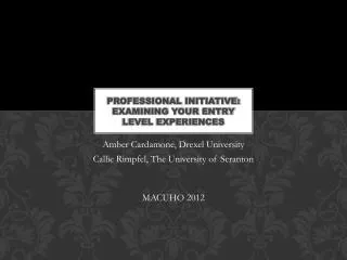 Professional Initiative: Examining Your Entry Level Experiences