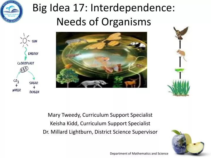 big idea 17 interdependence needs of organisms