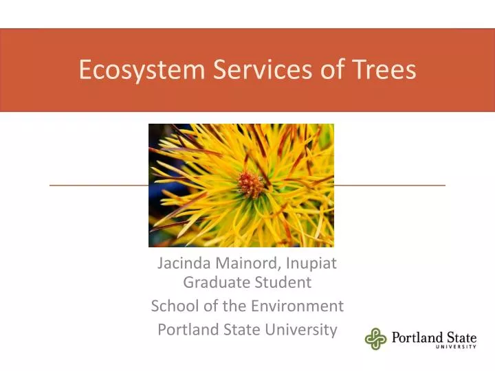 ecosystem services of trees