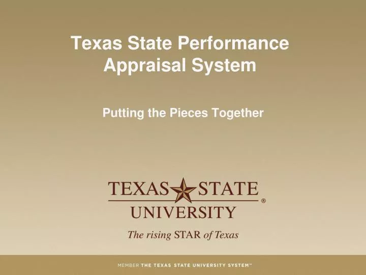 texas state performance appraisal system