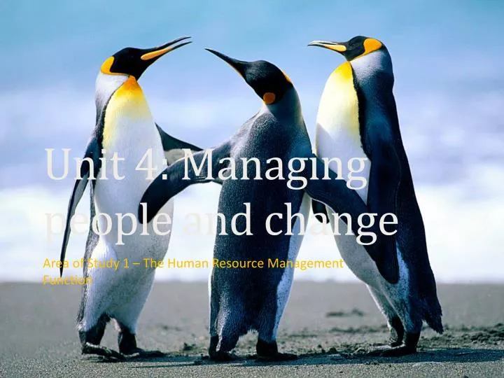 unit 4 managing people and change