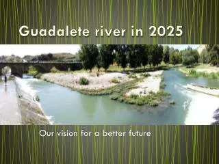 Guadalete river in 2025