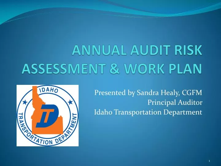 annual audit risk assessment work plan