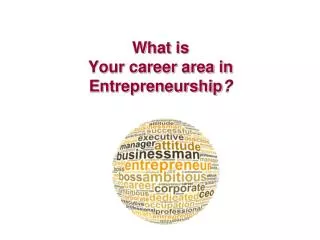 What is Your career area in Entrepreneurship ?