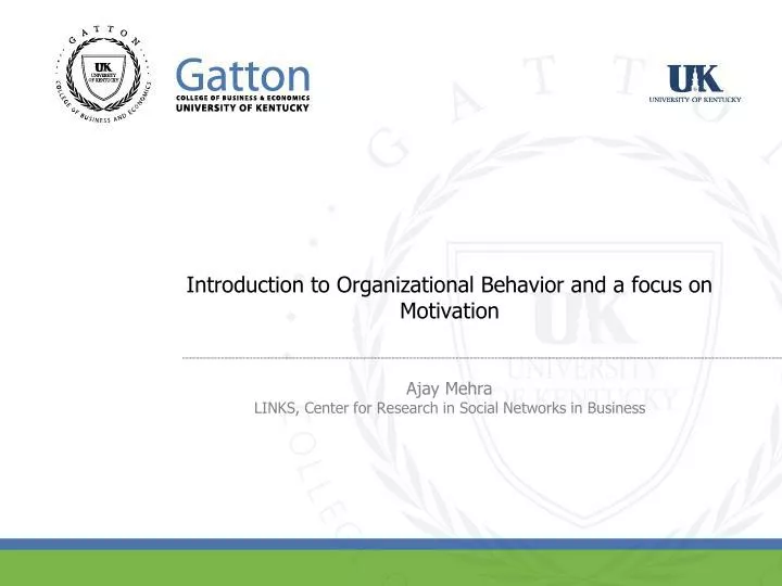 introduction to organizational behavior and a focus on motivation