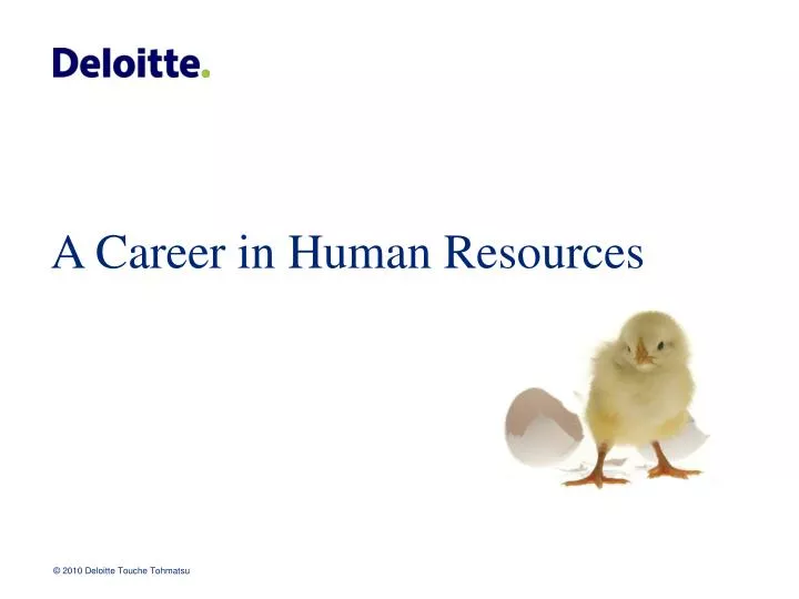 a career in human resources