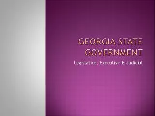 Georgia State Government