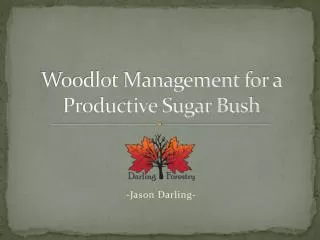 Woodlot Management for a Productive Sugar Bush