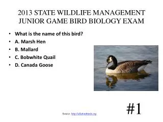 2013 STATE WILDLIFE MANAGEMENT JUNIOR GAME BIRD BIOLOGY EXAM