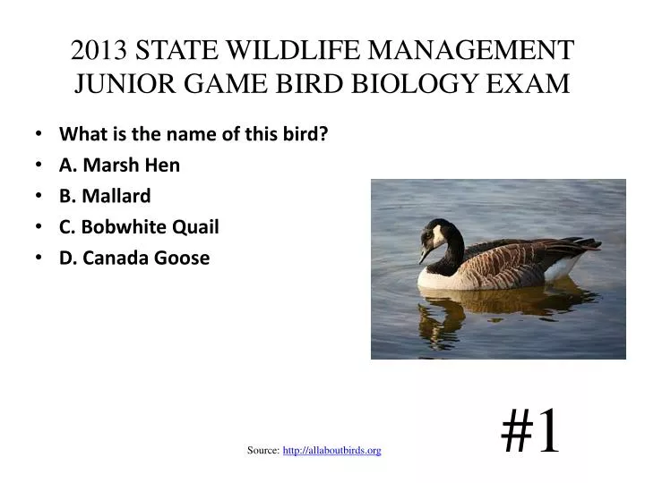 2013 state wildlife management junior game bird biology exam