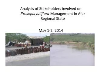 Analysis of Stakeholders involved on Prosopis Juliflora Management in Afar Regional State May 1-2, 2014