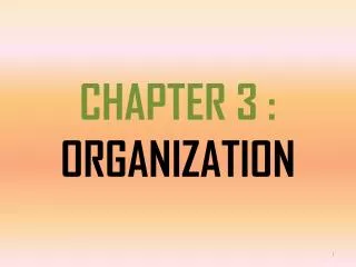 CHAPTER 3 : ORGANIZATION