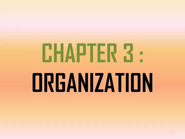 chapter 3 organization