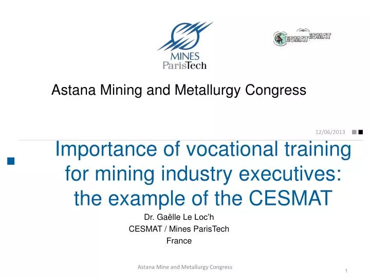 importance of vocational training for mining industry executives the example of the cesmat