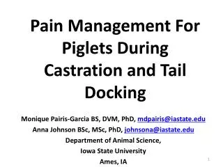 Pain Management For Piglets During Castration and Tail D ocking