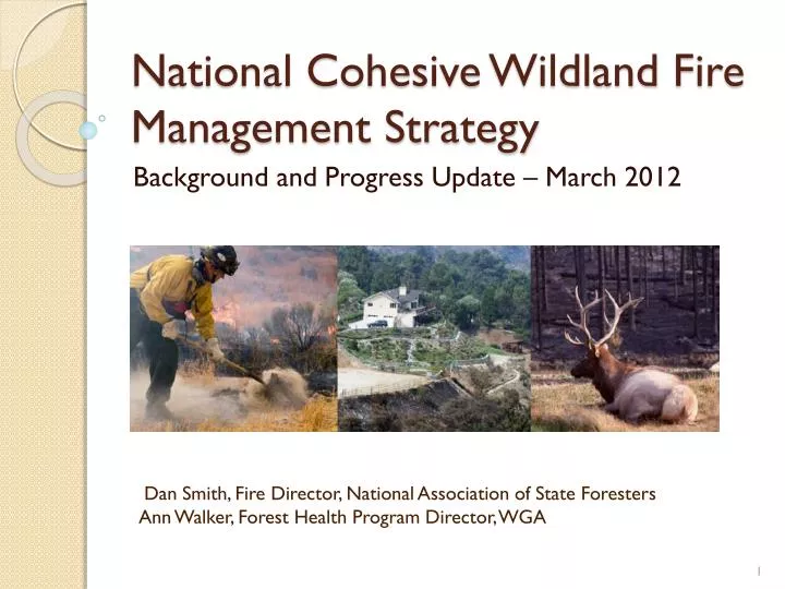 national cohesive wildland fire management strategy