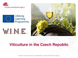 Viticulture in the Czech Republic