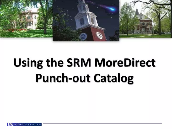 using the srm moredirect punch out catalog