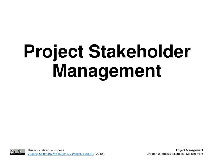 project stakeholder management
