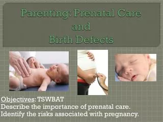 Parenting: Prenatal Care and Birth Defects