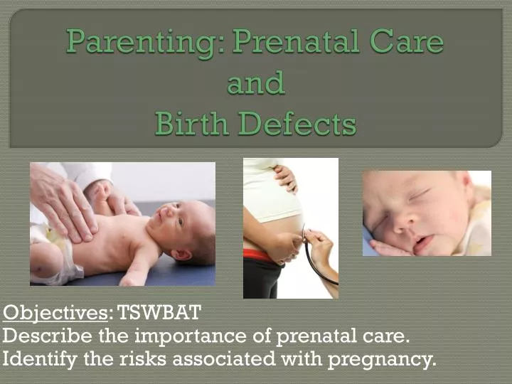 parenting prenatal care and birth defects