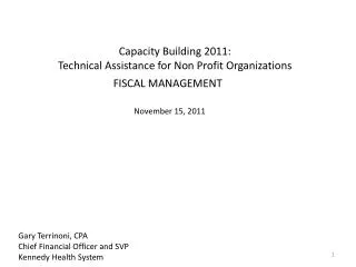 Capacity Building 2011: Technical Assistance for Non Profit Organizations