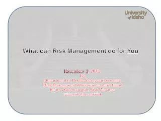 What can Risk Management do for You