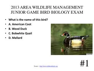 2013 AREA WILDLIFE MANAGEMENT JUNIOR GAME BIRD BIOLOGY EXAM