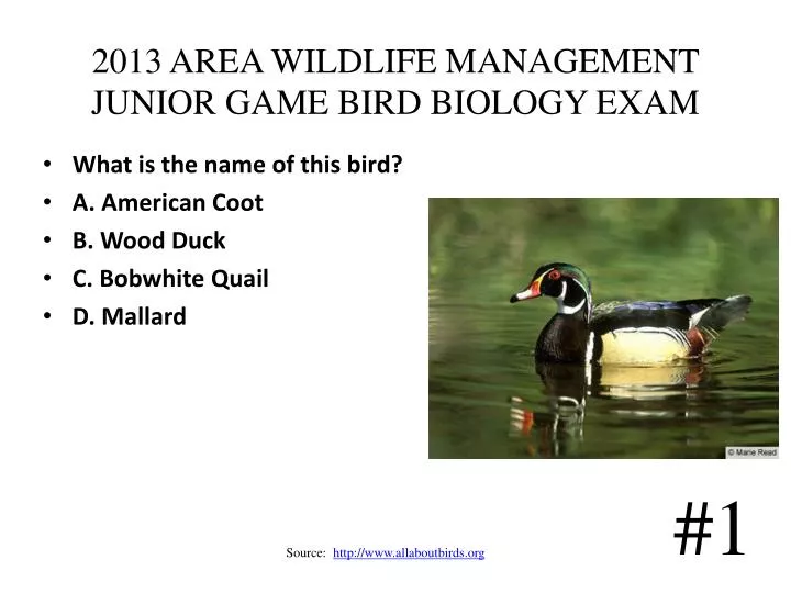 2013 area wildlife management junior game bird biology exam
